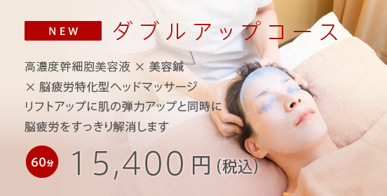 ダブルアップコース